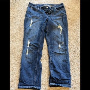 Jennifer Lopez Cropped Jean